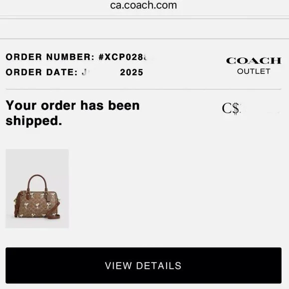 SOLDCoach X Peanuts Rowan Satchel Bag In Signature Canvas With Snoopy Print - Picture 4 of 15